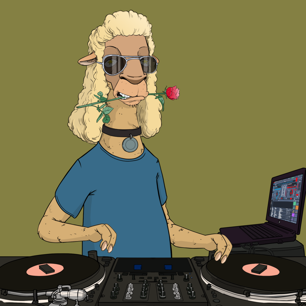Jammin' Alpacas #5552
