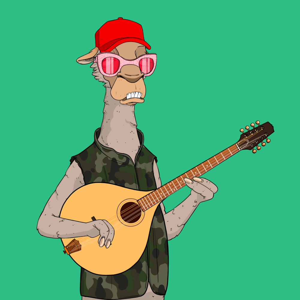 Jammin' Alpacas #5566