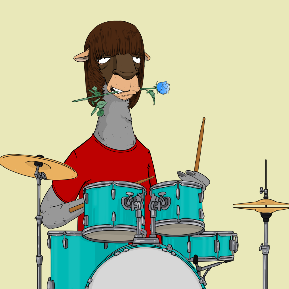 Jammin' Alpacas #5567