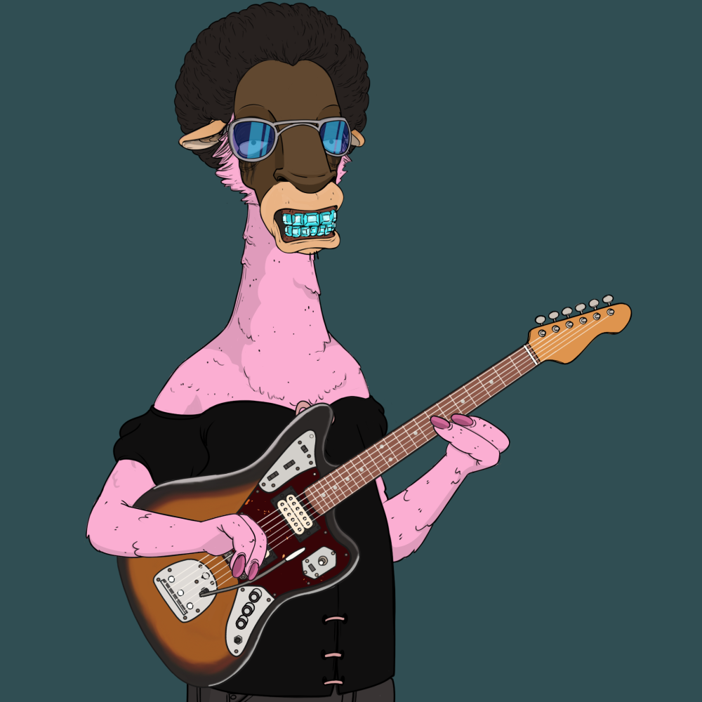 Jammin' Alpacas #5575
