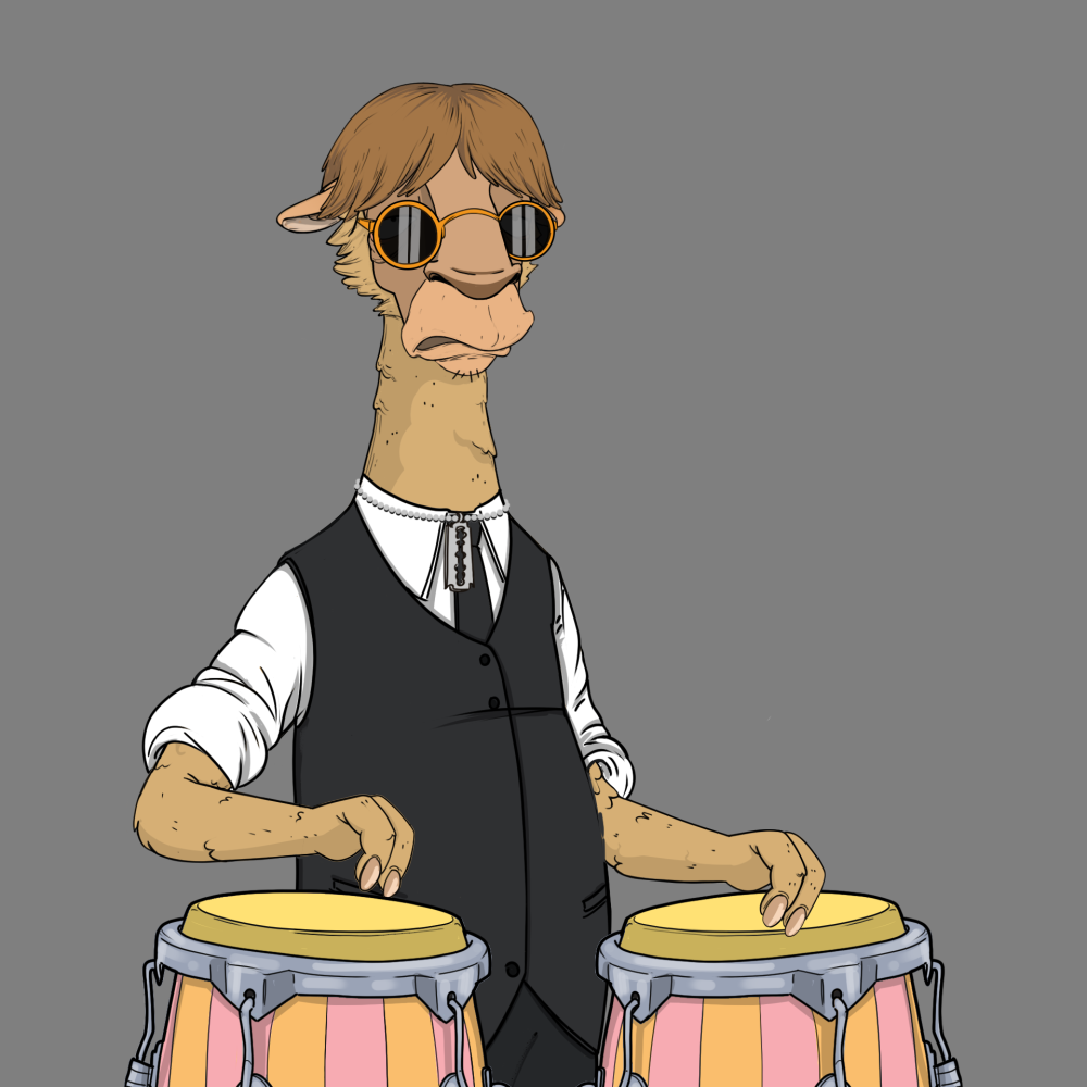 Jammin' Alpacas #5580