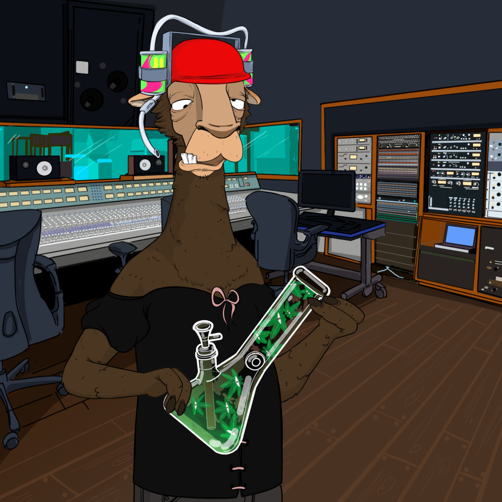 Jammin' Alpacas #5598