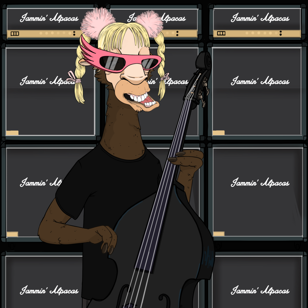 Jammin' Alpacas #5610