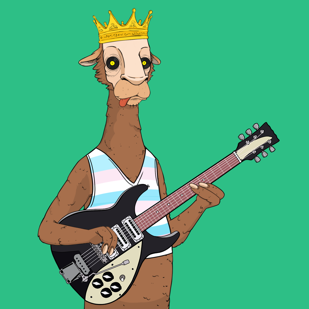 Jammin' Alpacas #5625
