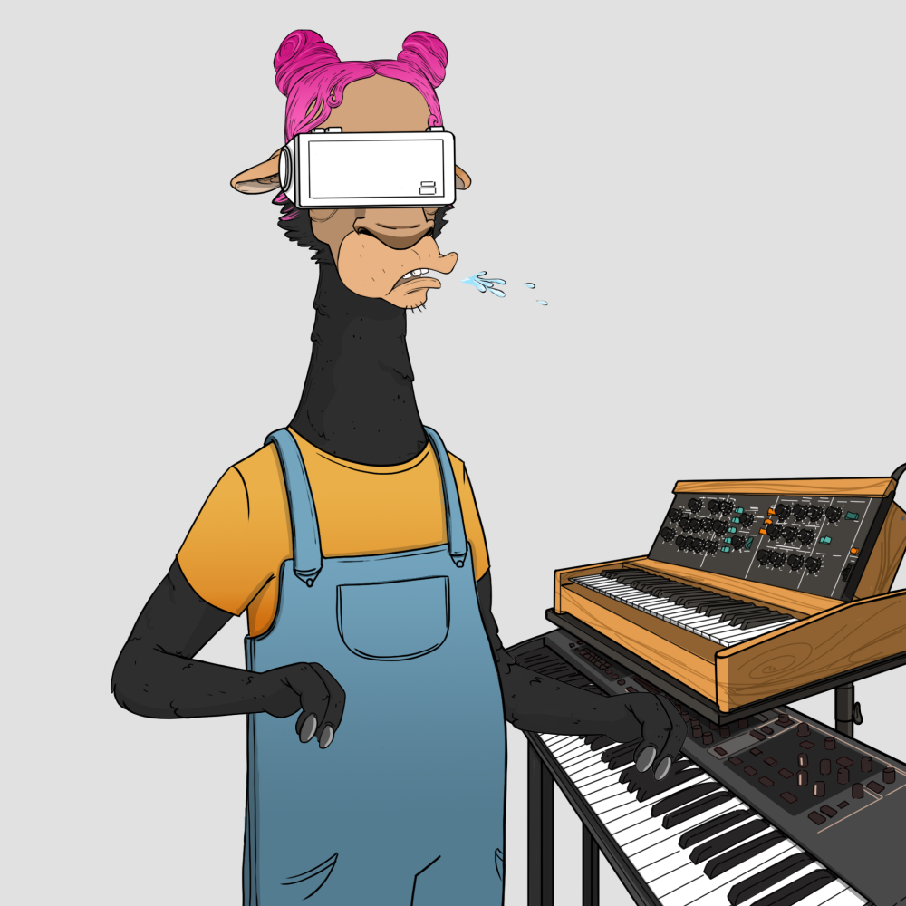 Jammin' Alpacas #5637