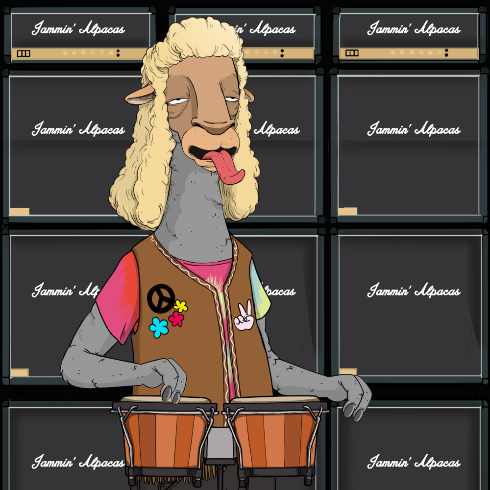 Jammin' Alpacas #5674