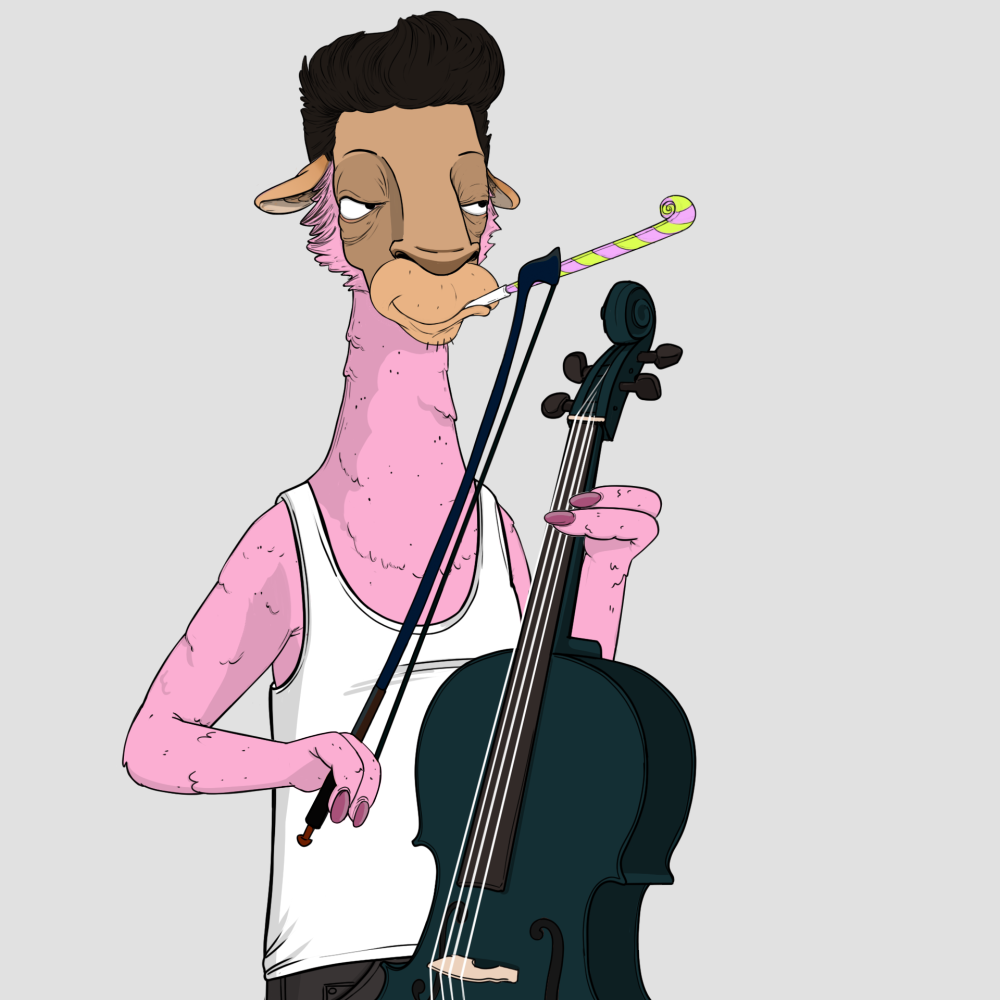 Jammin' Alpacas #5691