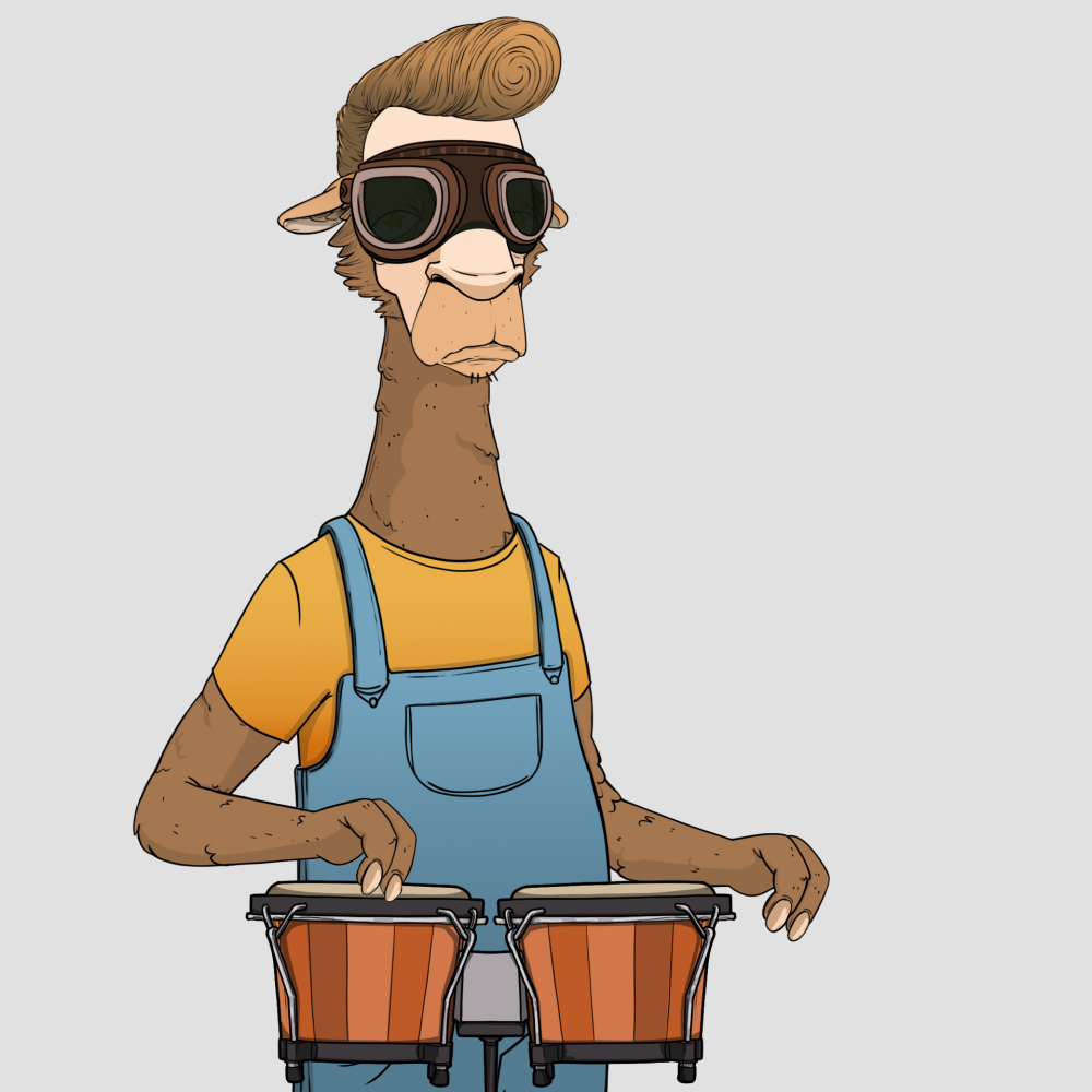 Jammin' Alpacas #5737