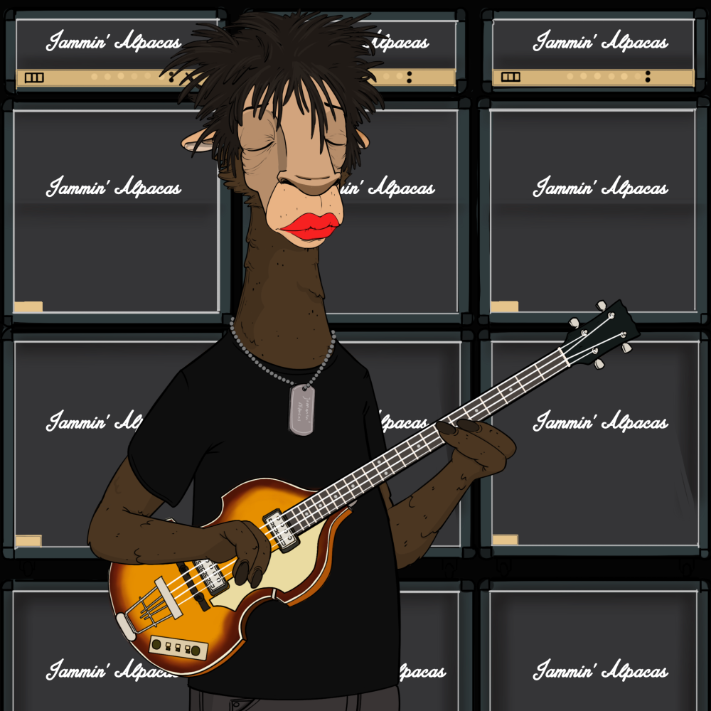 Jammin' Alpacas #5745