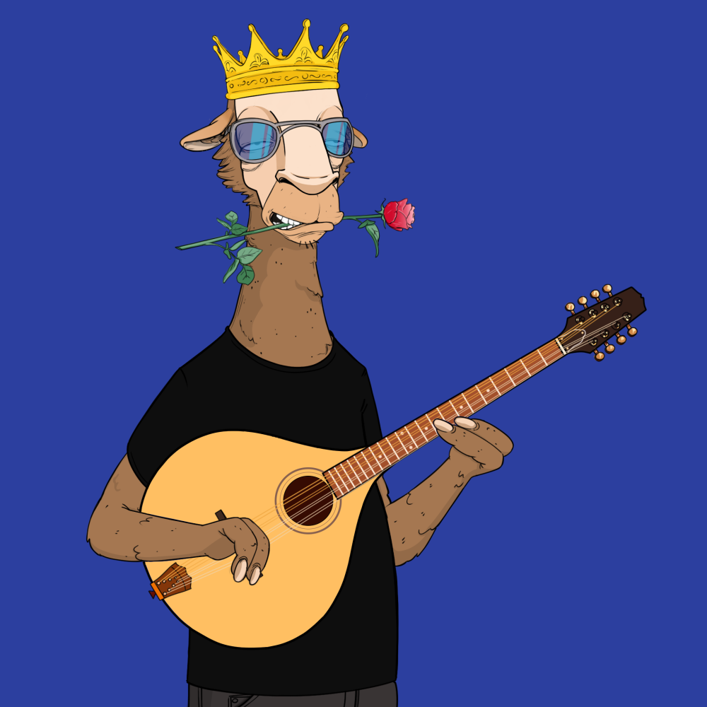 Jammin' Alpacas #5746