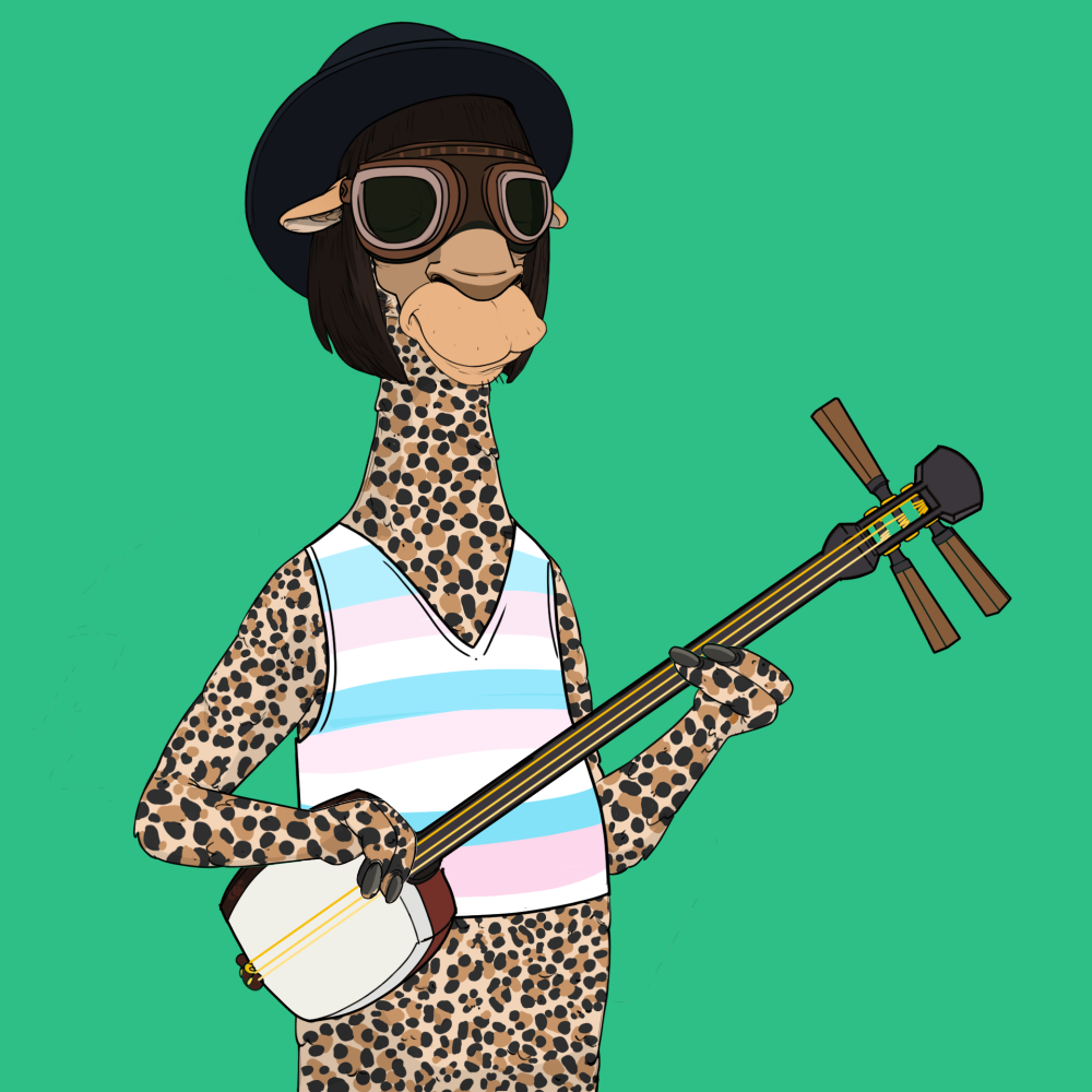 Jammin' Alpacas #5802