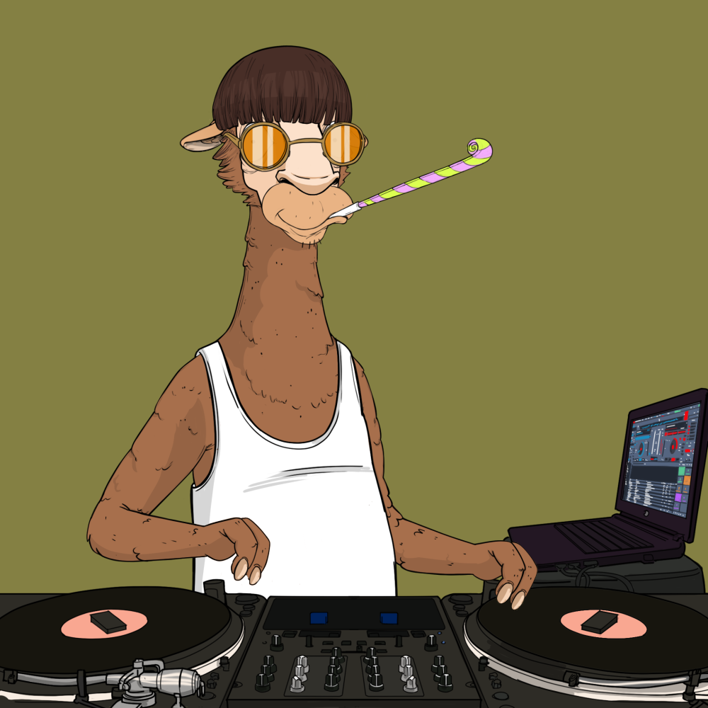 Jammin' Alpacas #5803