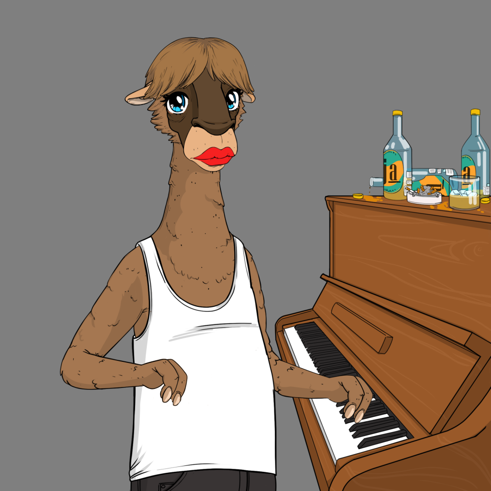Jammin' Alpacas #5805