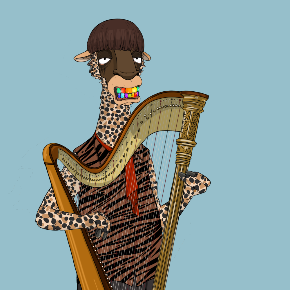 Jammin' Alpacas #5809