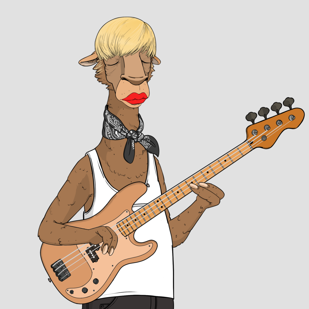 Jammin' Alpacas #5832