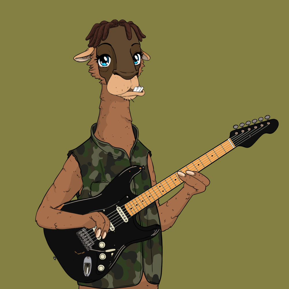 Jammin' Alpacas #5855
