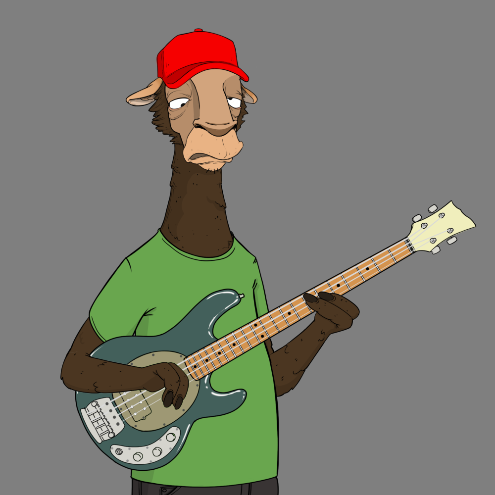 Jammin' Alpacas #5881