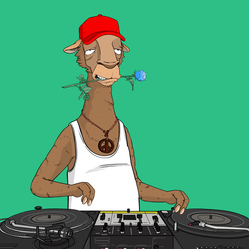 Jammin' Alpacas #5900