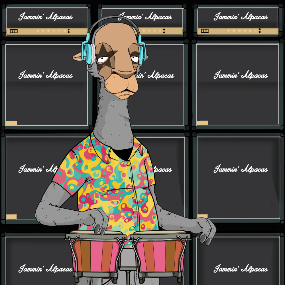 Jammin' Alpacas #5938