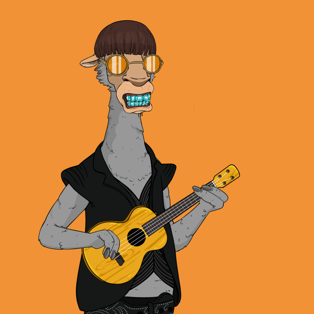 Jammin' Alpacas #5946