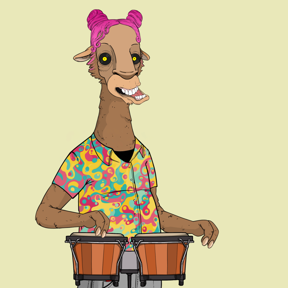Jammin' Alpacas #5959