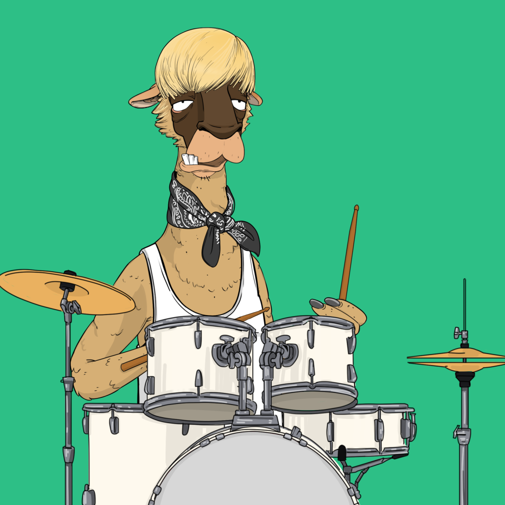 Jammin' Alpacas #5962