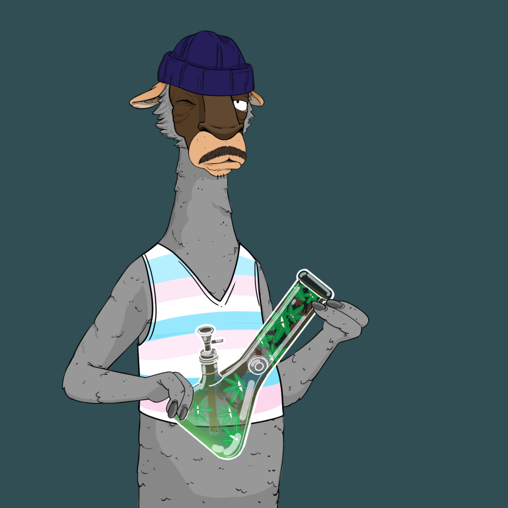 Jammin' Alpacas #6014