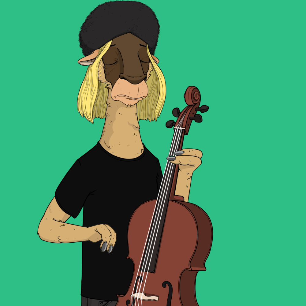 Jammin' Alpacas #6034