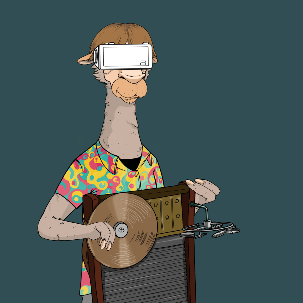 Jammin' Alpacas #6036