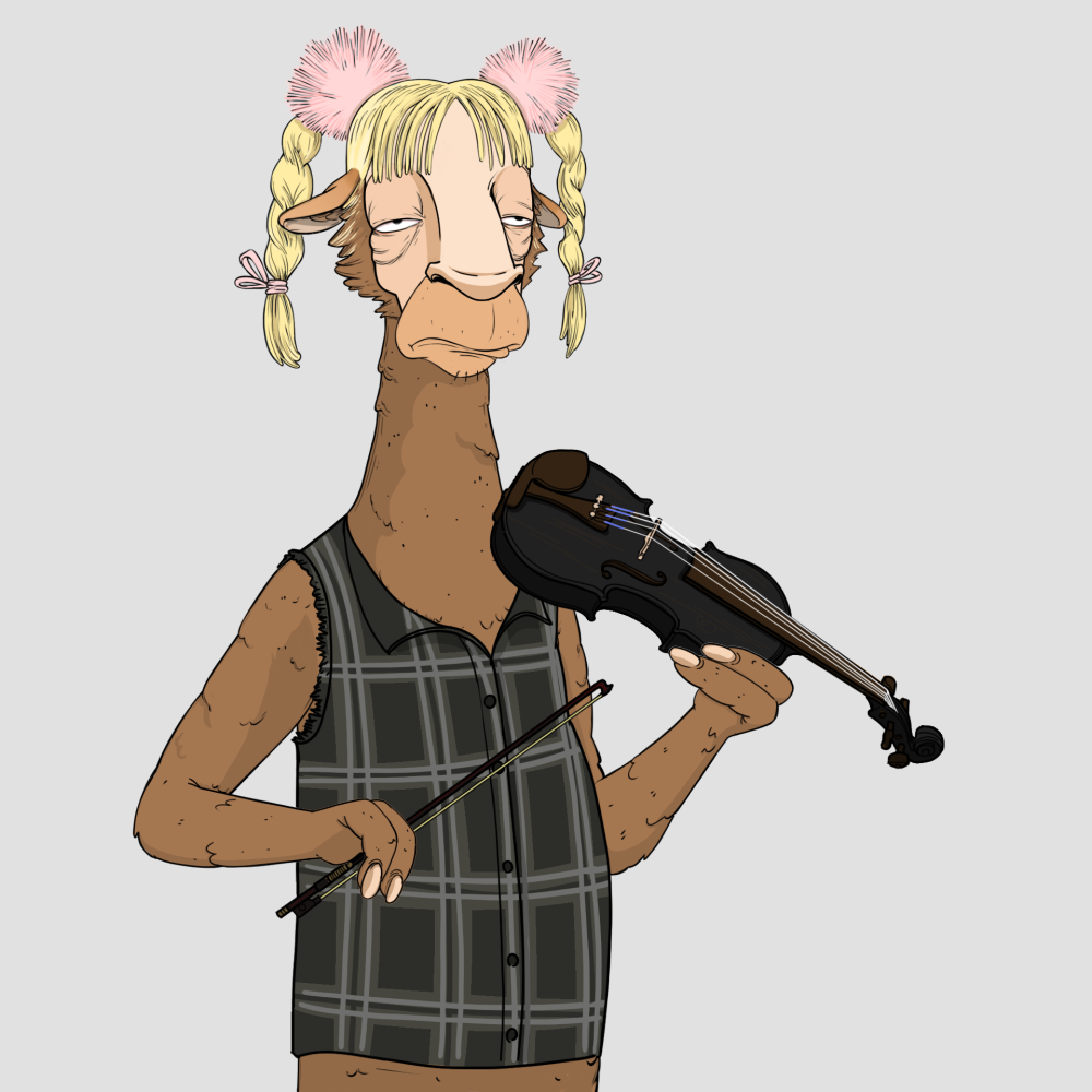 Jammin' Alpacas #6041