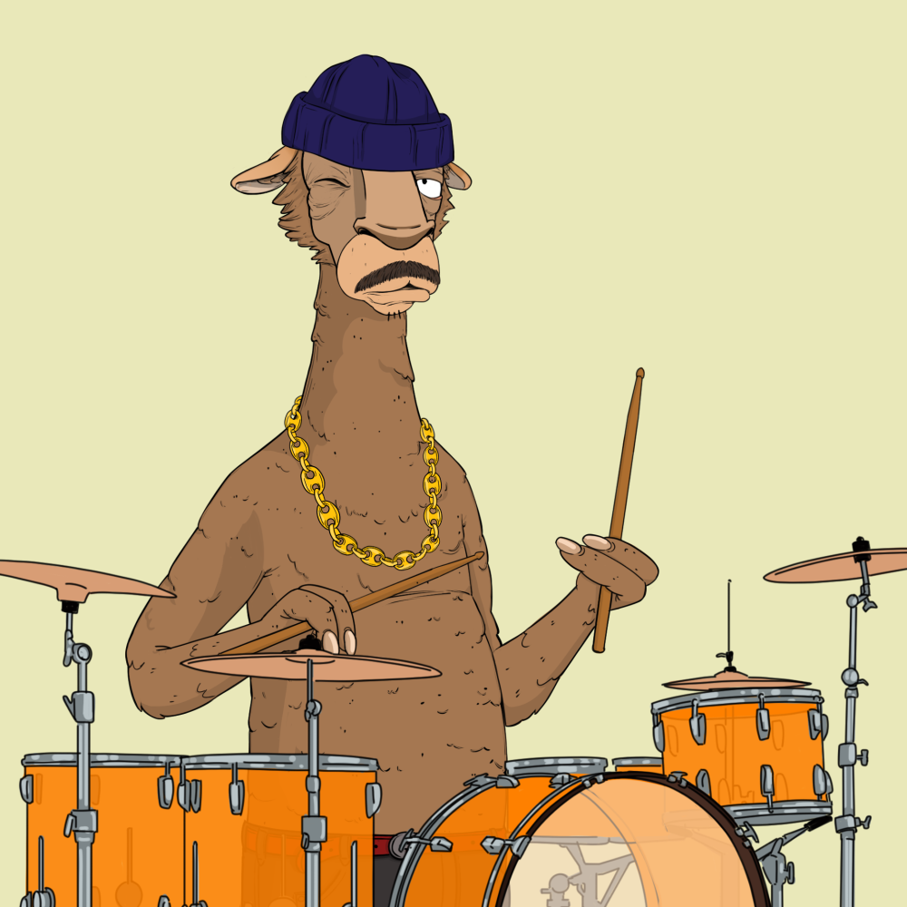 Jammin' Alpacas #6055
