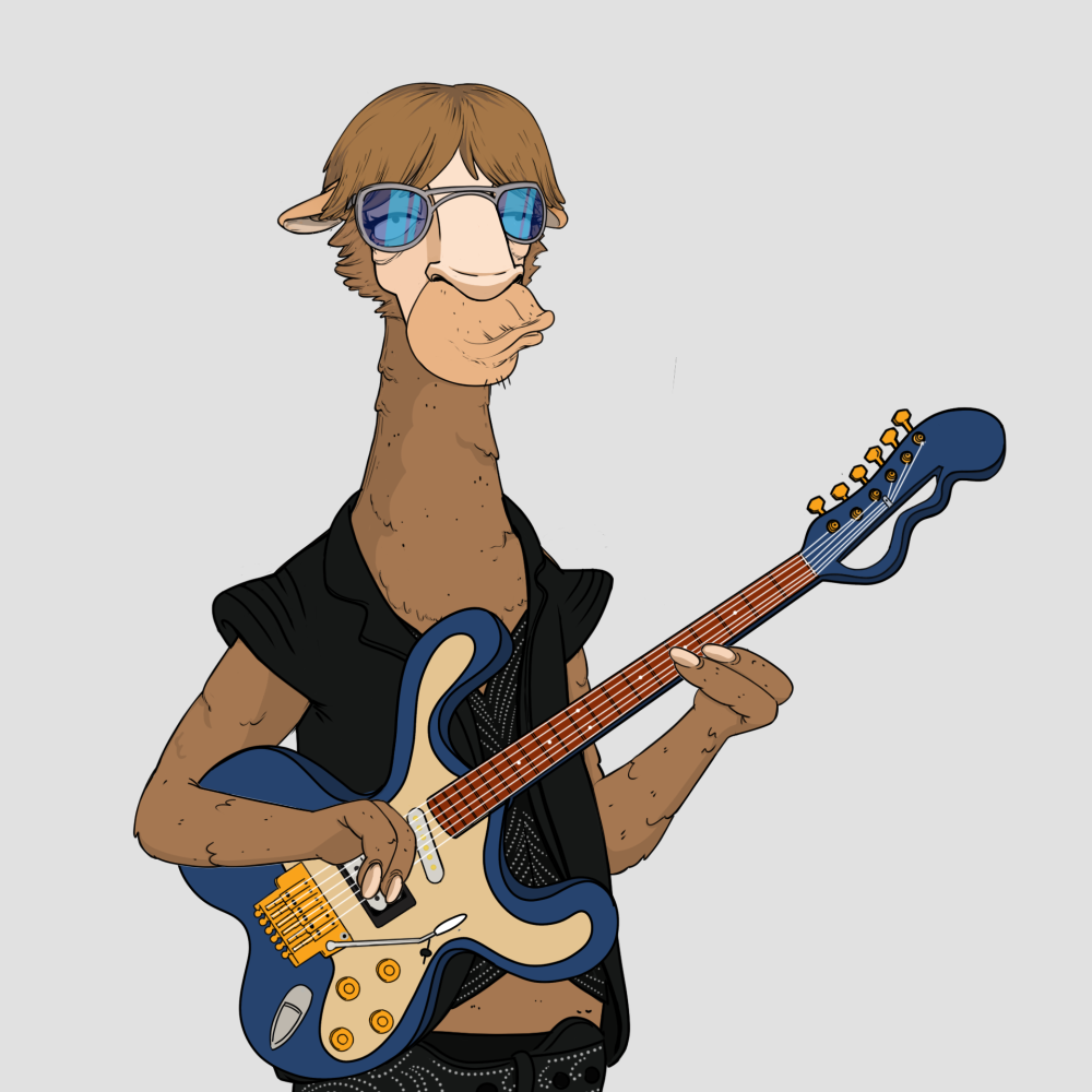 Jammin' Alpacas #6065