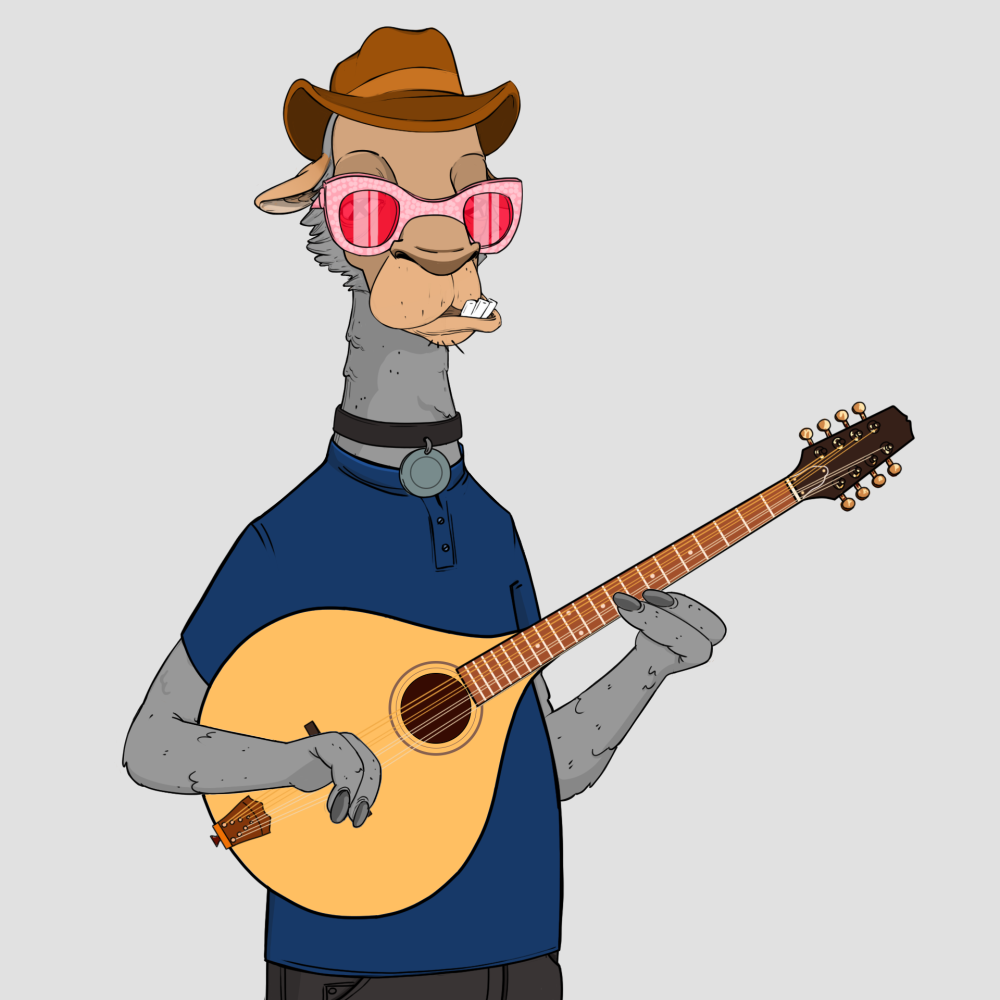 Jammin' Alpacas #6082