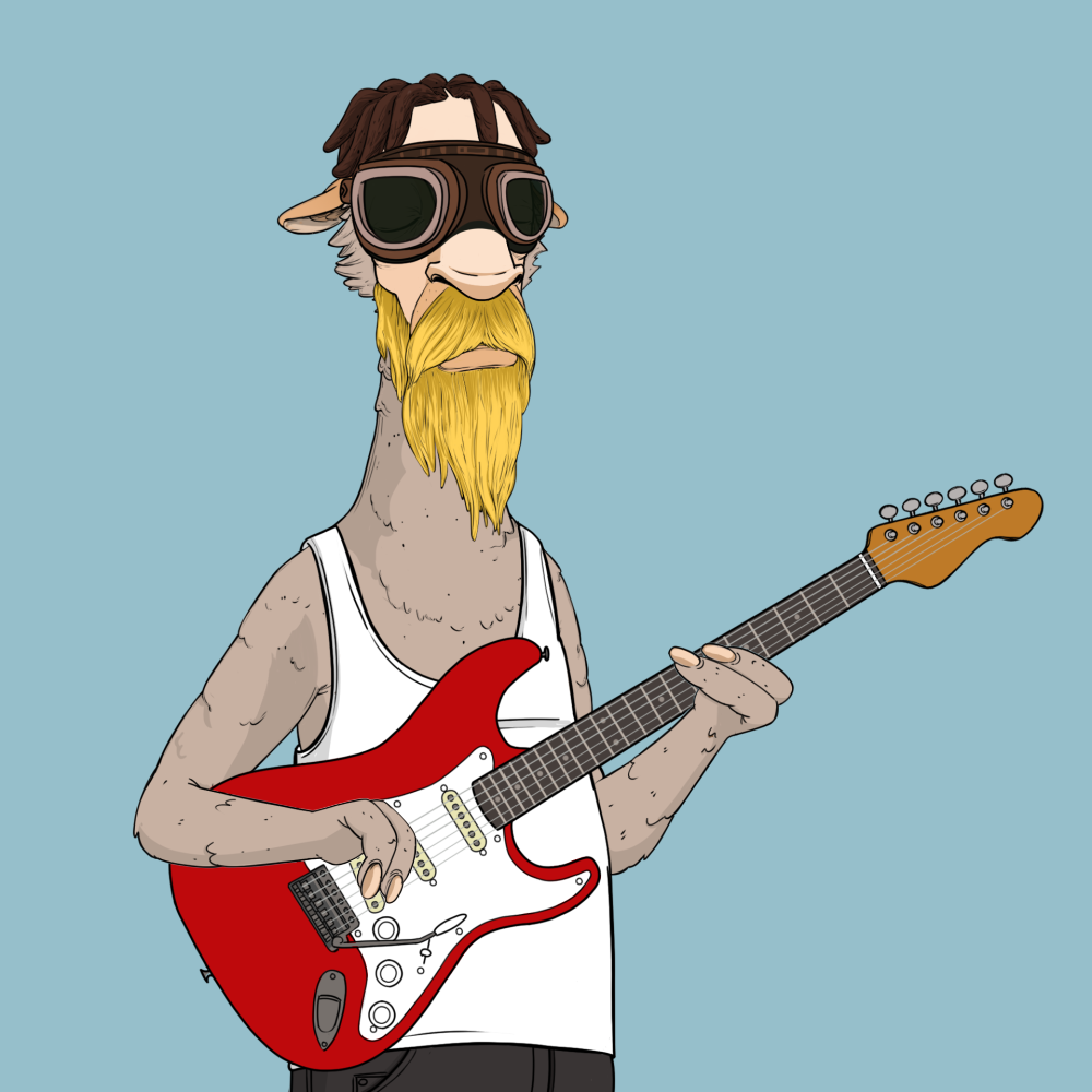 Jammin' Alpacas #6088