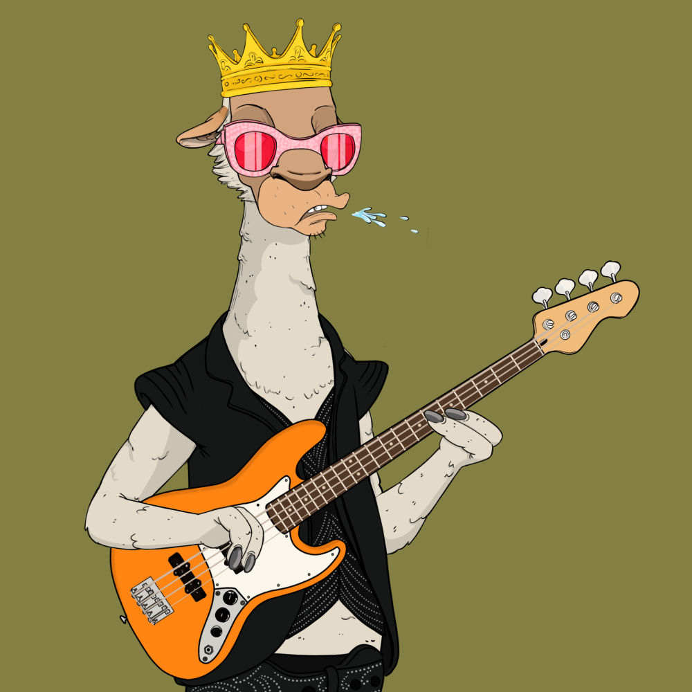 Jammin' Alpacas #6101