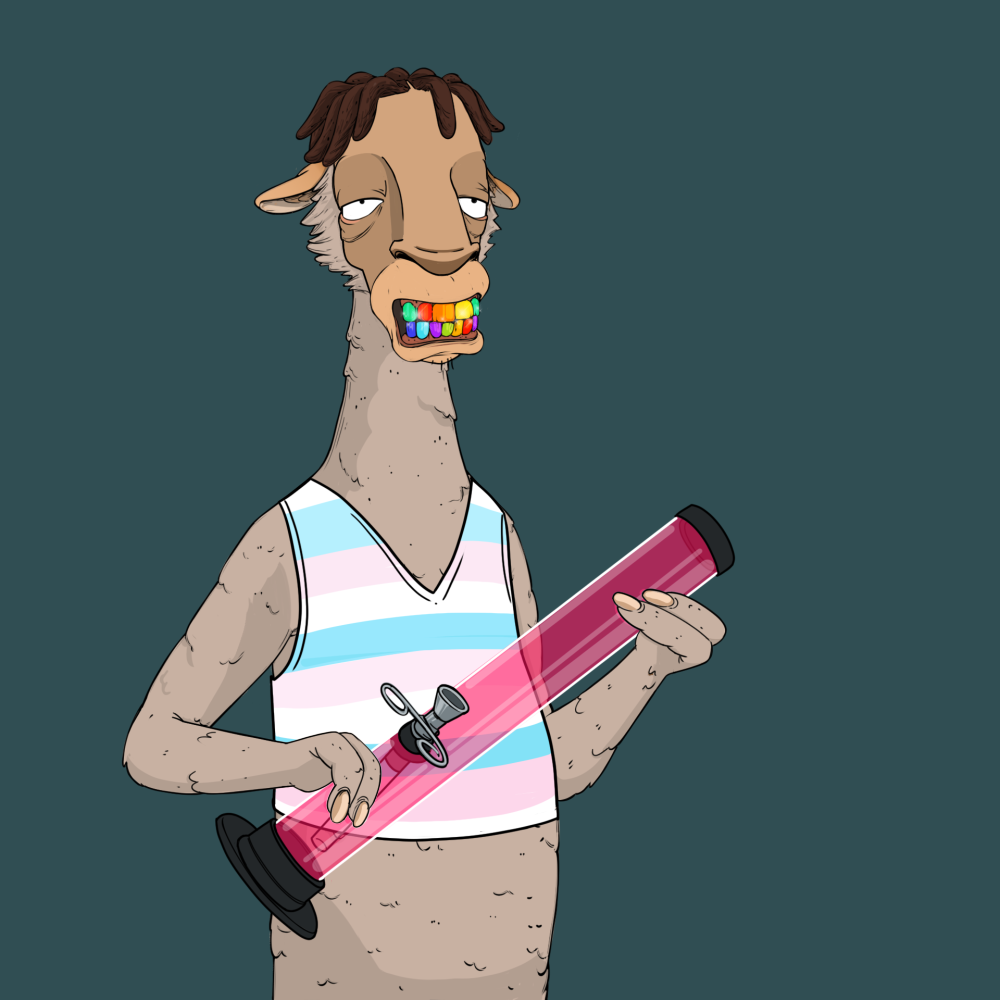 Jammin' Alpacas #6127