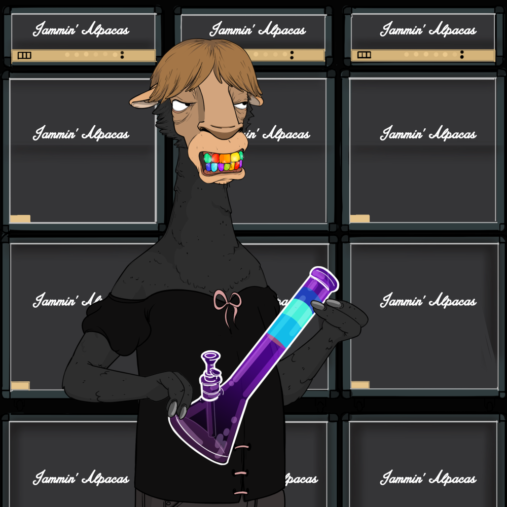 Jammin' Alpacas #6134