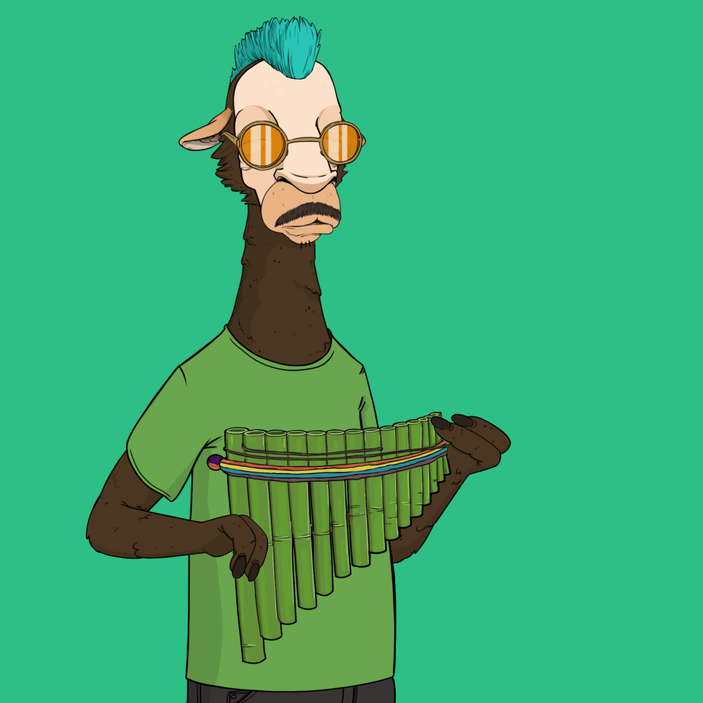 Jammin' Alpacas #6147