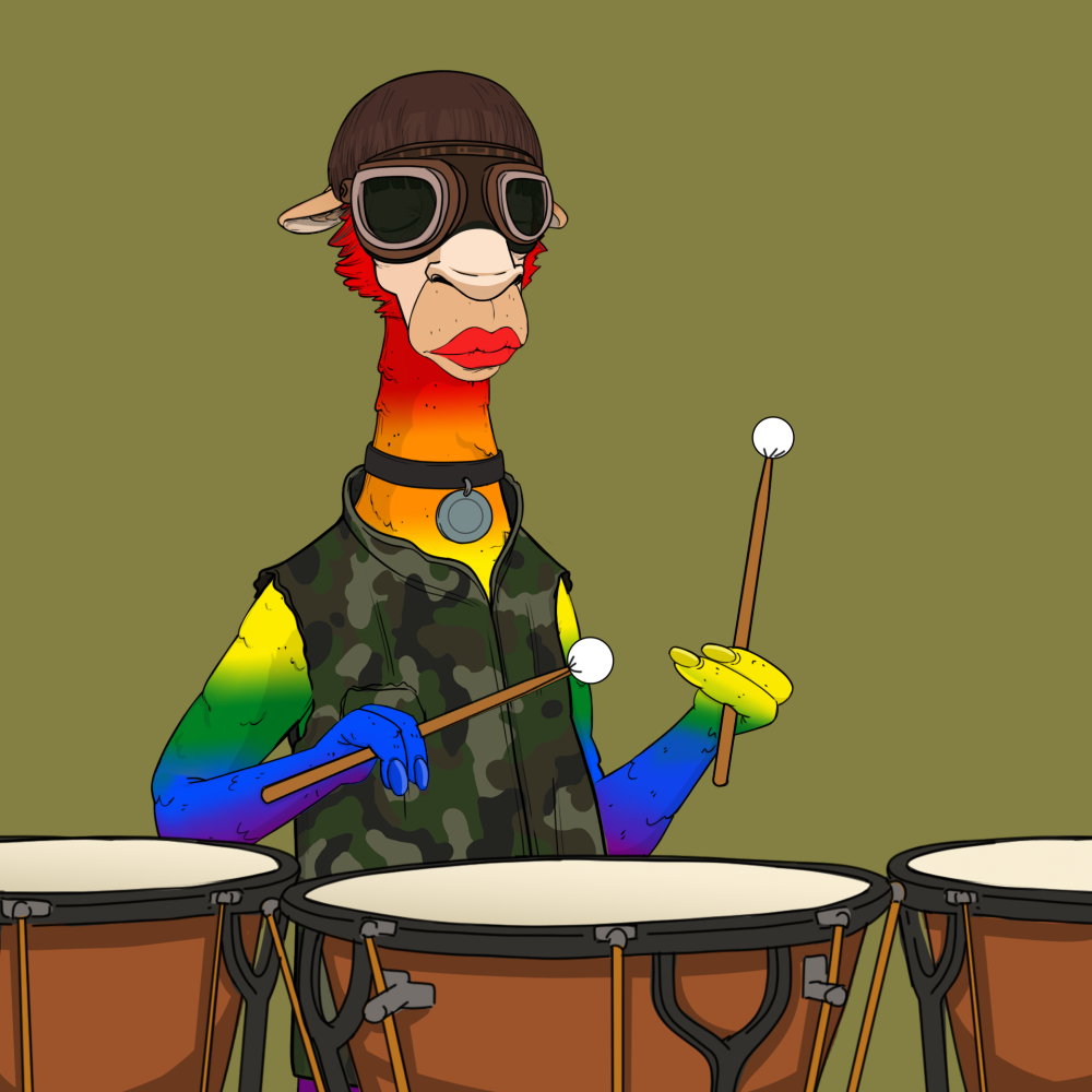 Jammin' Alpacas #6204