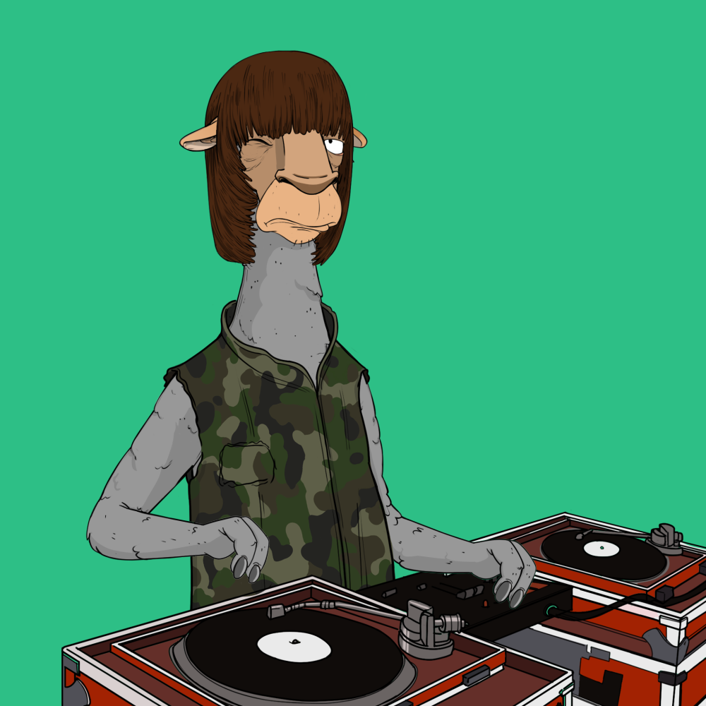 Jammin' Alpacas #6207
