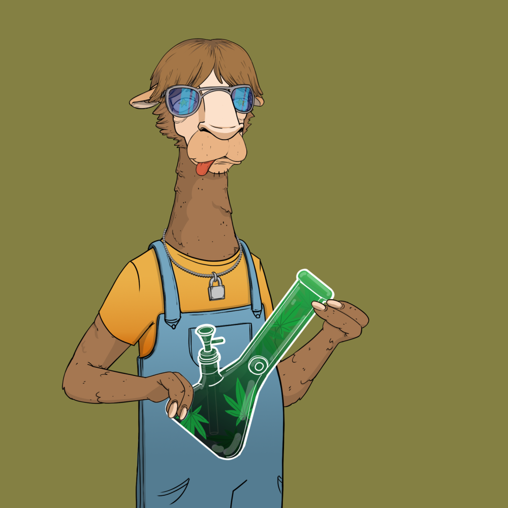 Jammin' Alpacas #6211