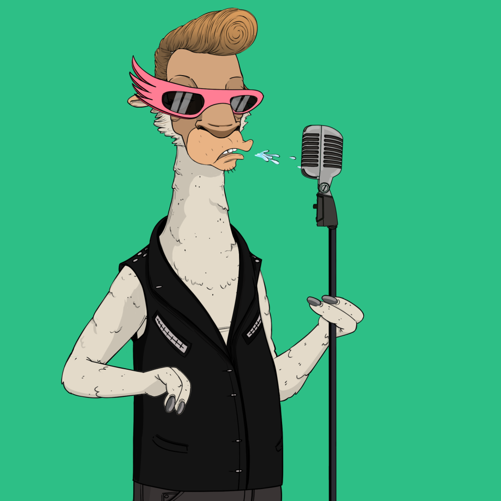 Jammin' Alpacas #6215