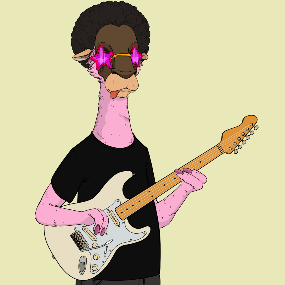 Jammin' Alpacas #6221