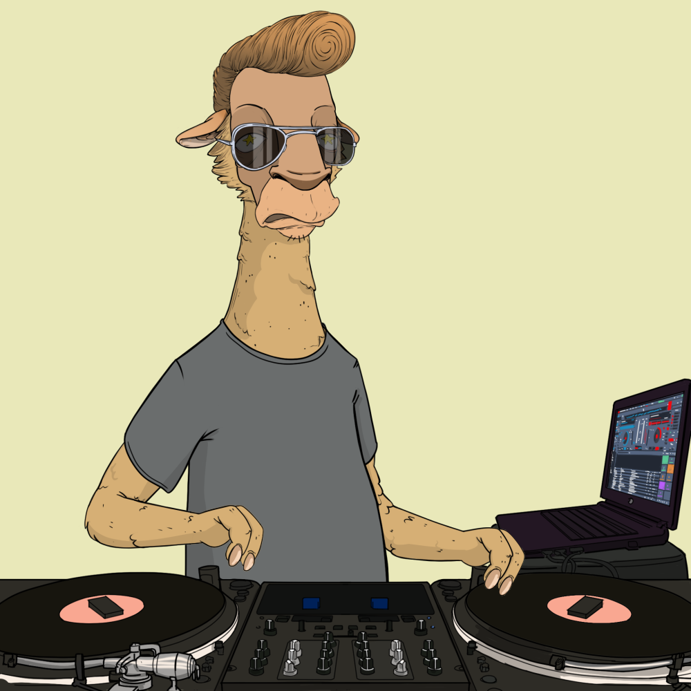 Jammin' Alpacas #6230