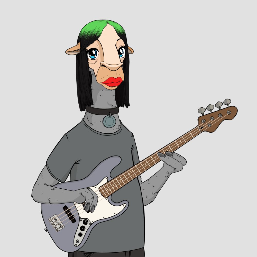 Jammin' Alpacas #6257