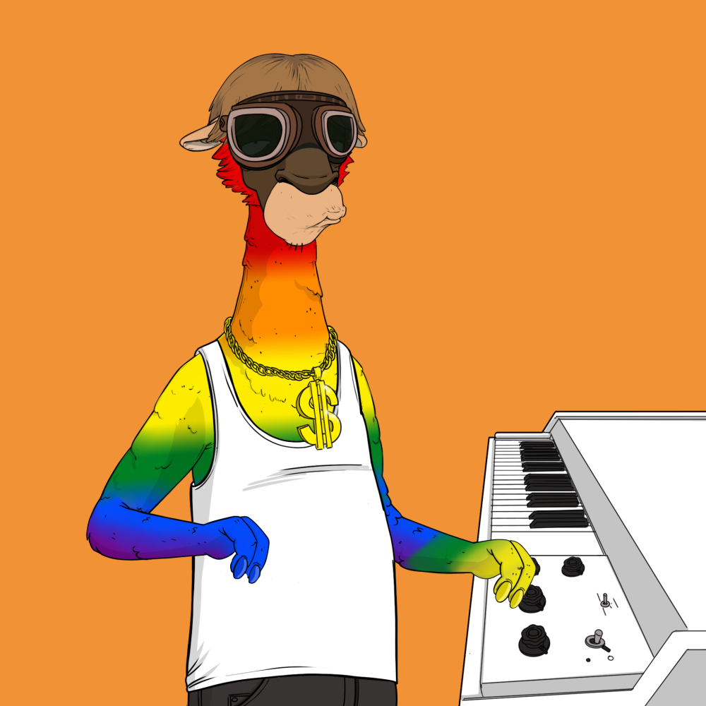 Jammin' Alpacas #6276
