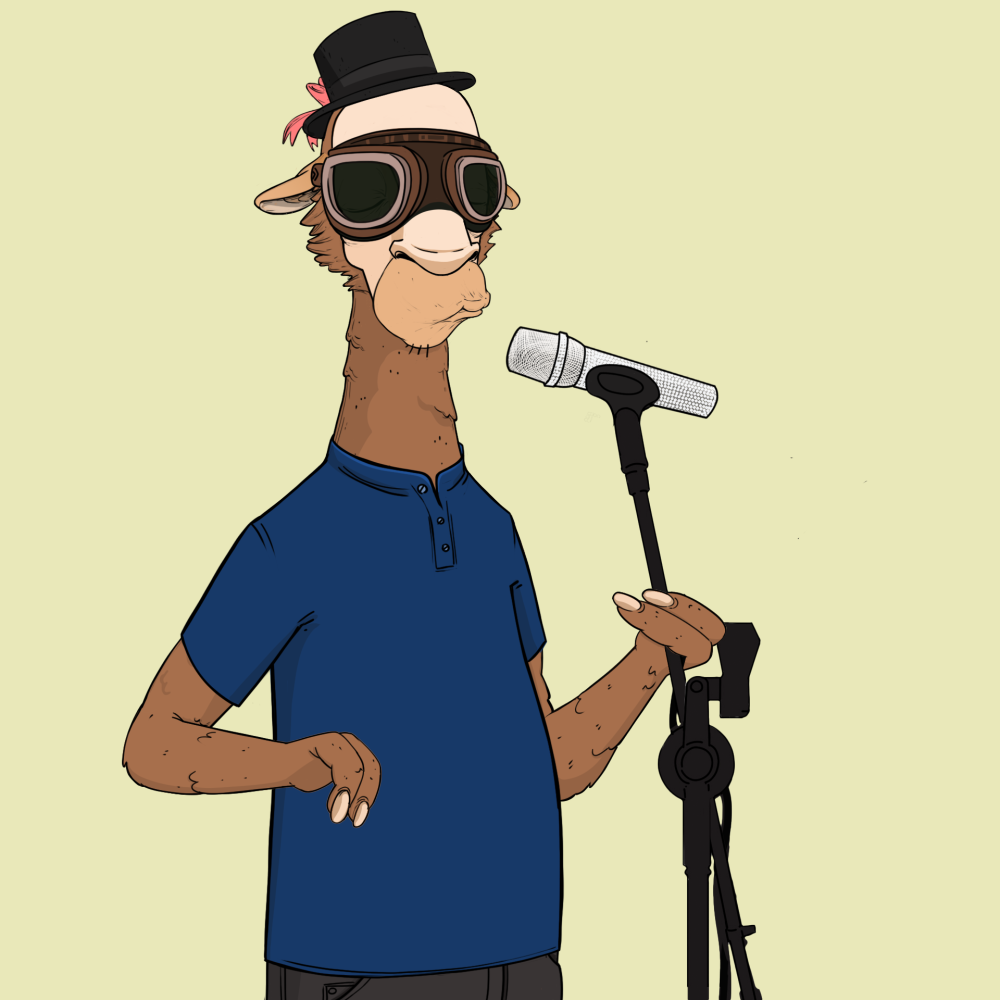 Jammin' Alpacas #6293