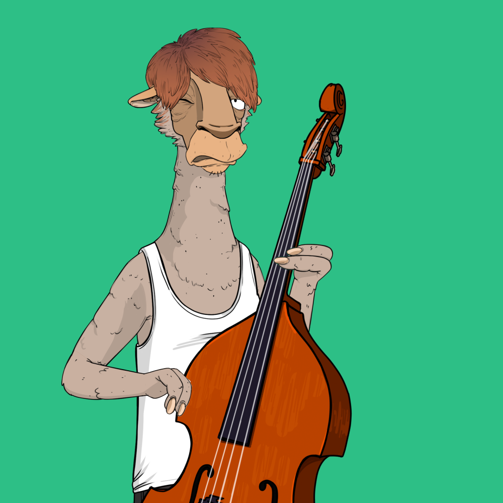 Jammin' Alpacas #6337