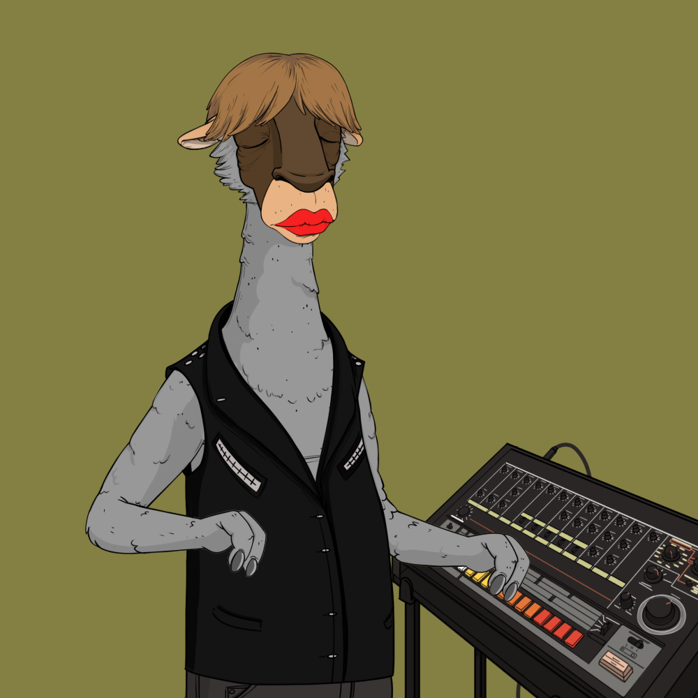 Jammin' Alpacas #6349