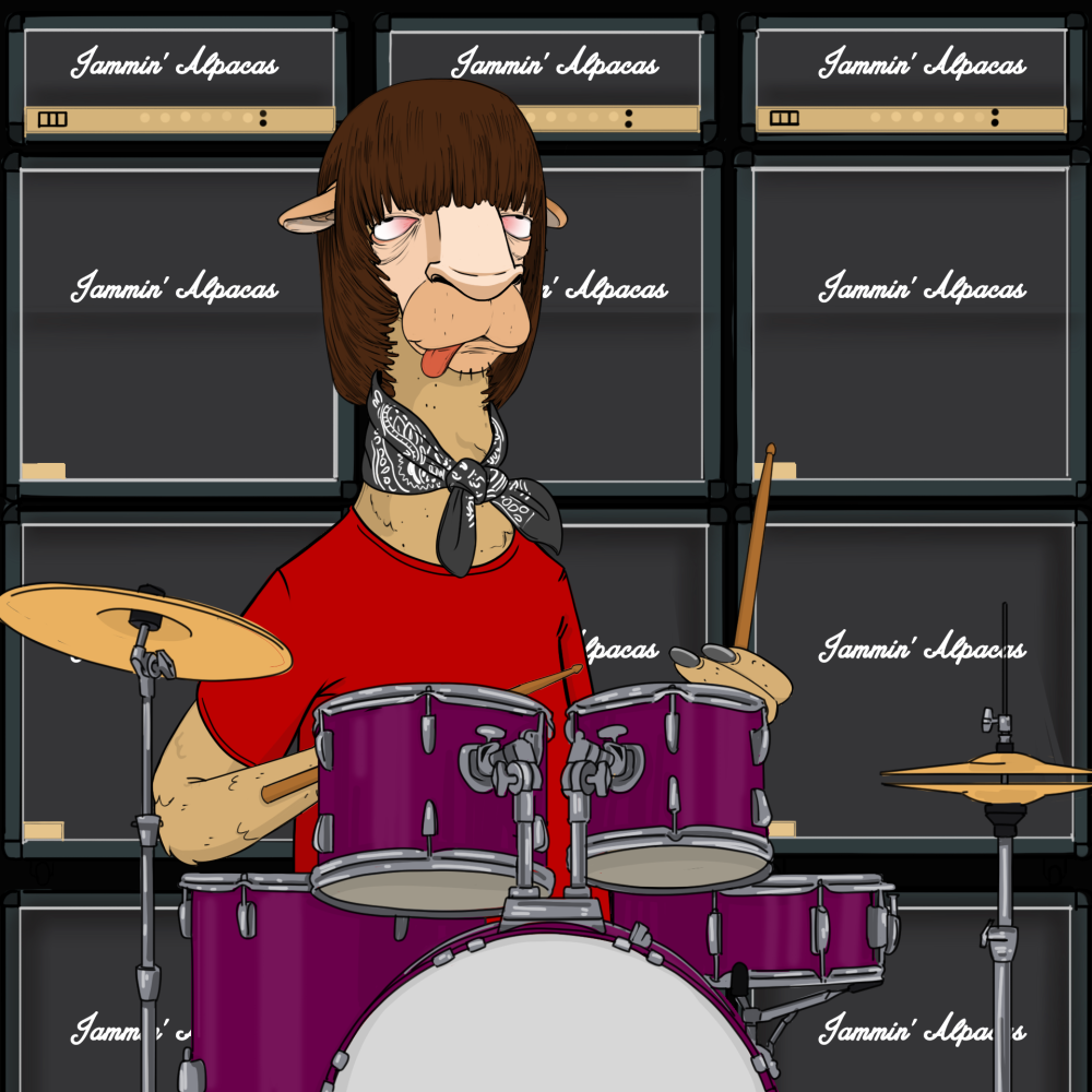 Jammin' Alpacas #6361